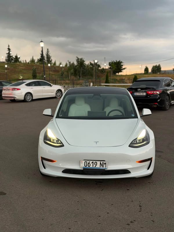 Tesla 2023