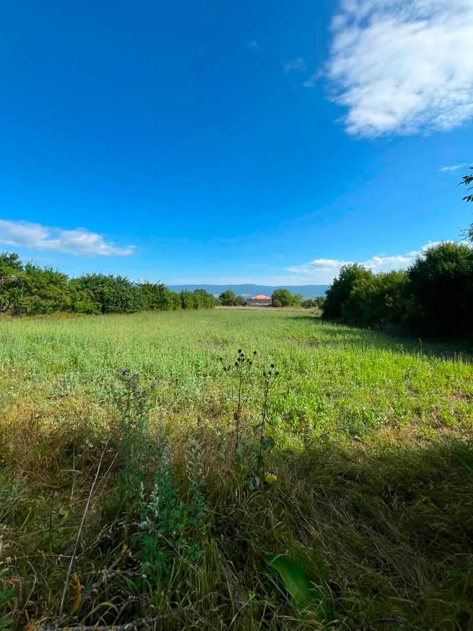 Land plots are for sale in the village of Tolendji, Tianeti — $12,500