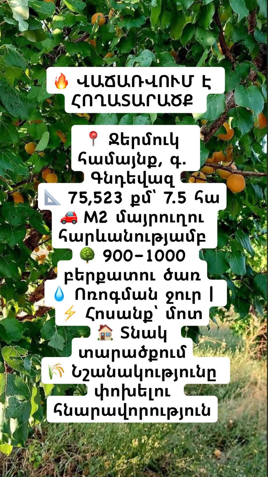 Վաճառվում է բնակարան, Երևան