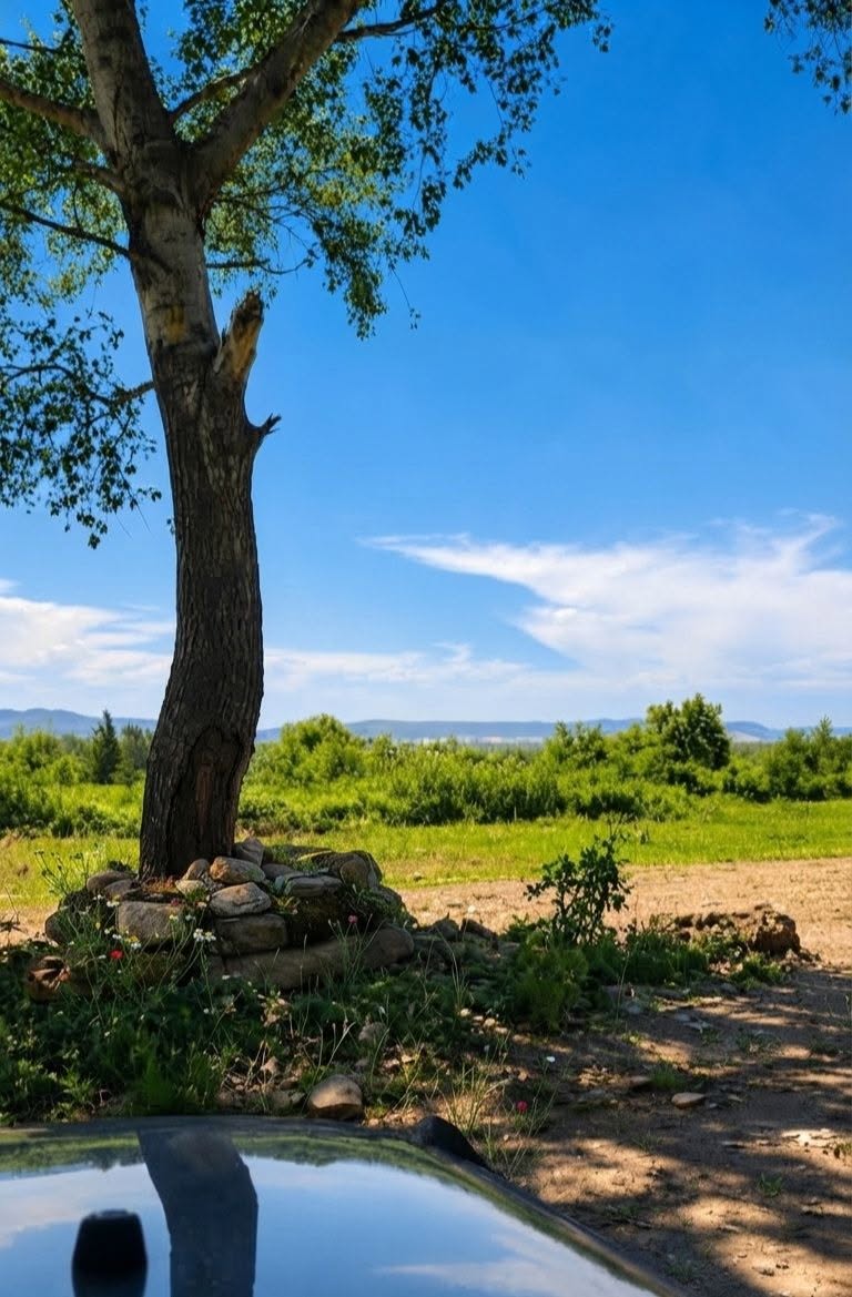 Arazi, Sığnaq — $9,500