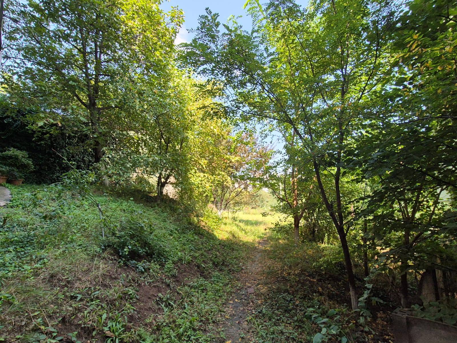 Առևտրային տարածք, Թբիլիսի — $2,000