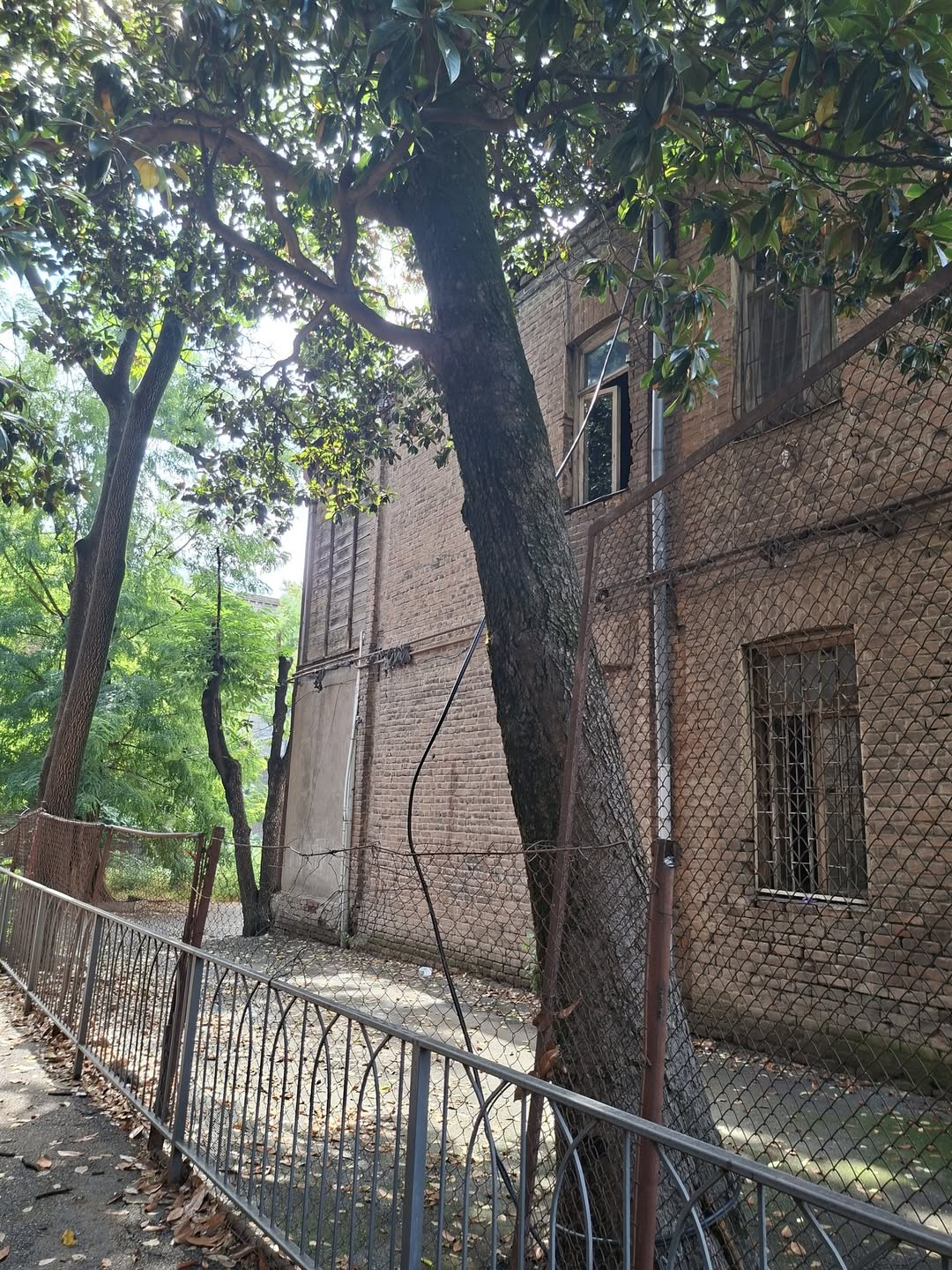 Участок земли, Тбилиси