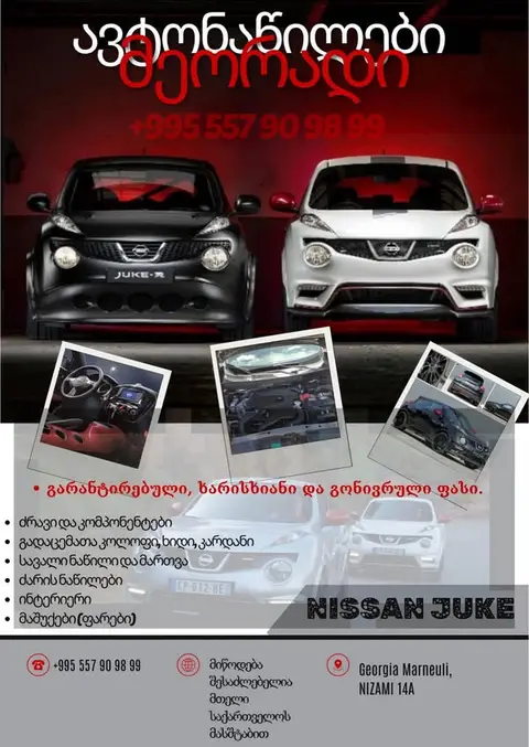Nissan 2010