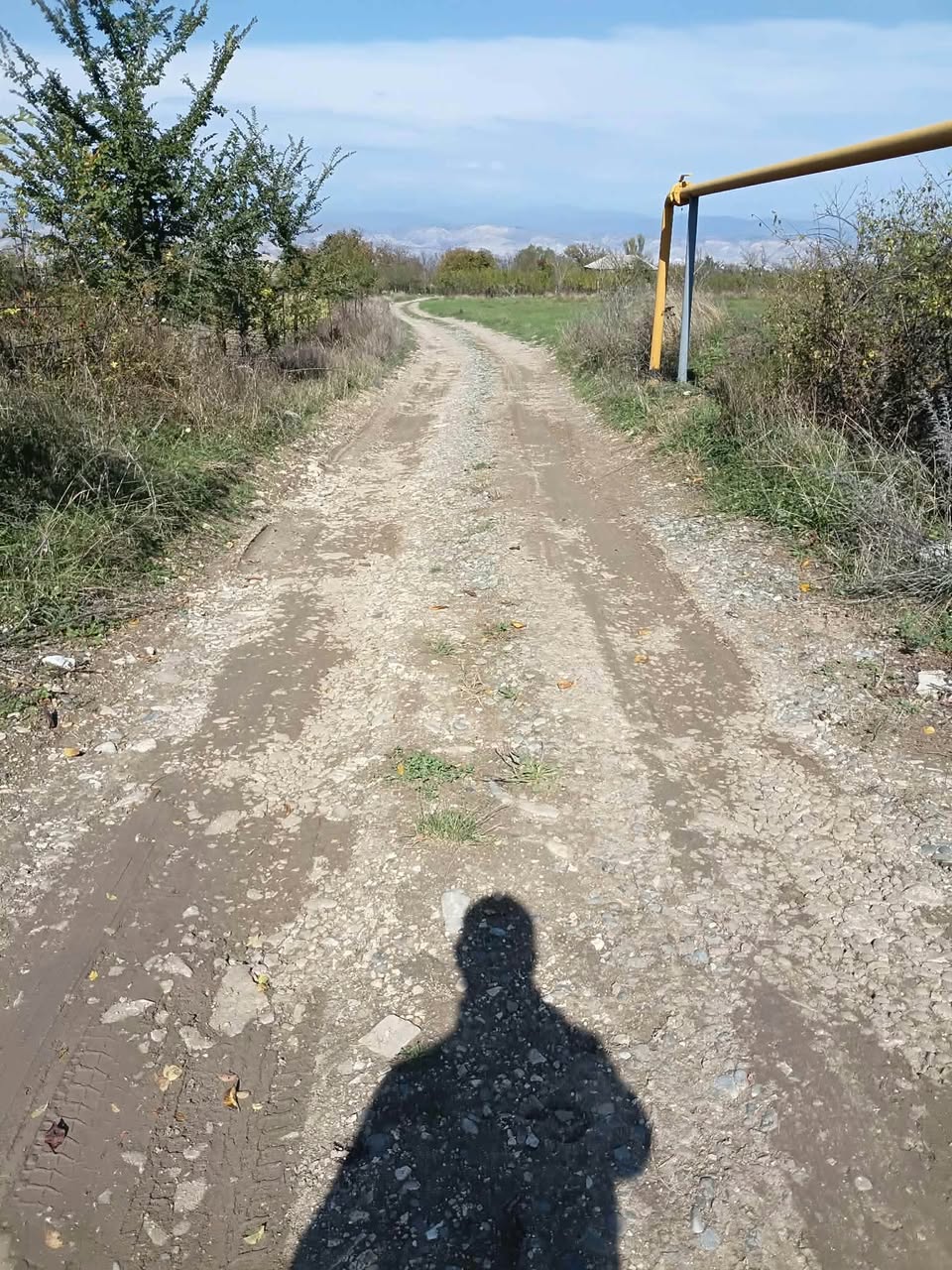 იყიდება; ერთაწმინდაში, 4200-კვადრატი მიწის ნაკვეთი, მაღალმთიანი — 17$