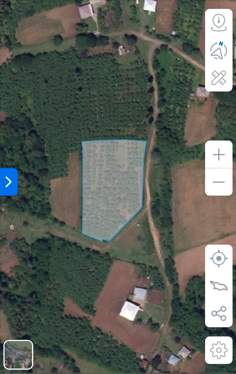 Land plot for sale in Zugdidi, Chkaduashi. For sale — 5,000$