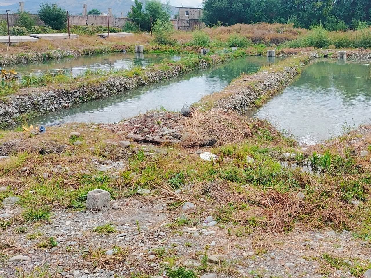 Land area, Gori