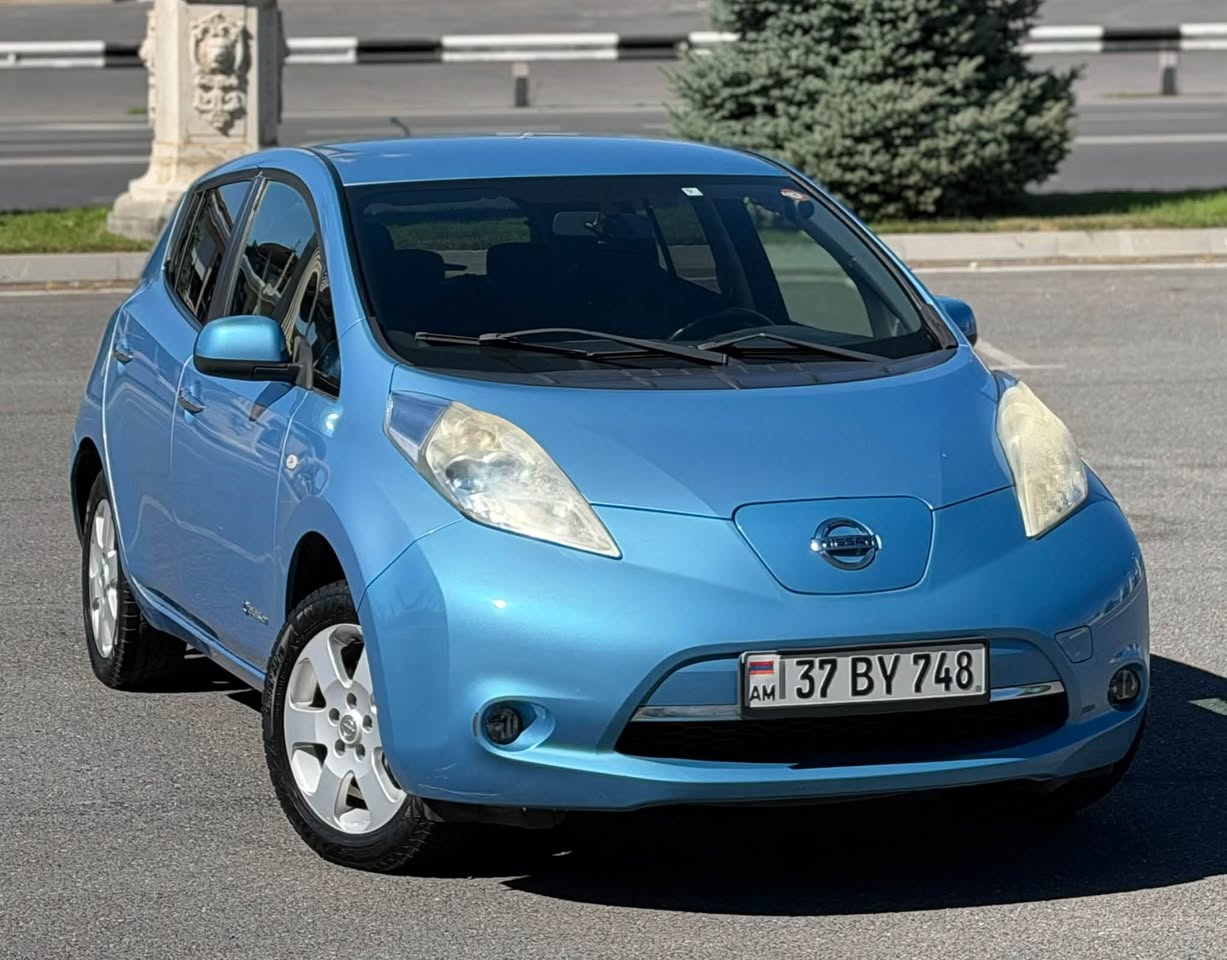 Leaf 2012 — 3,800$