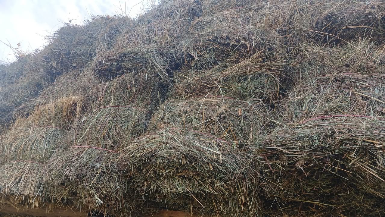 Приходит тёплая трава из склада в Цалке