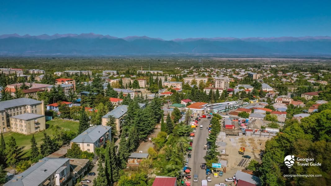 Birliğim var ve birlikte ahududu toplamak için gittik