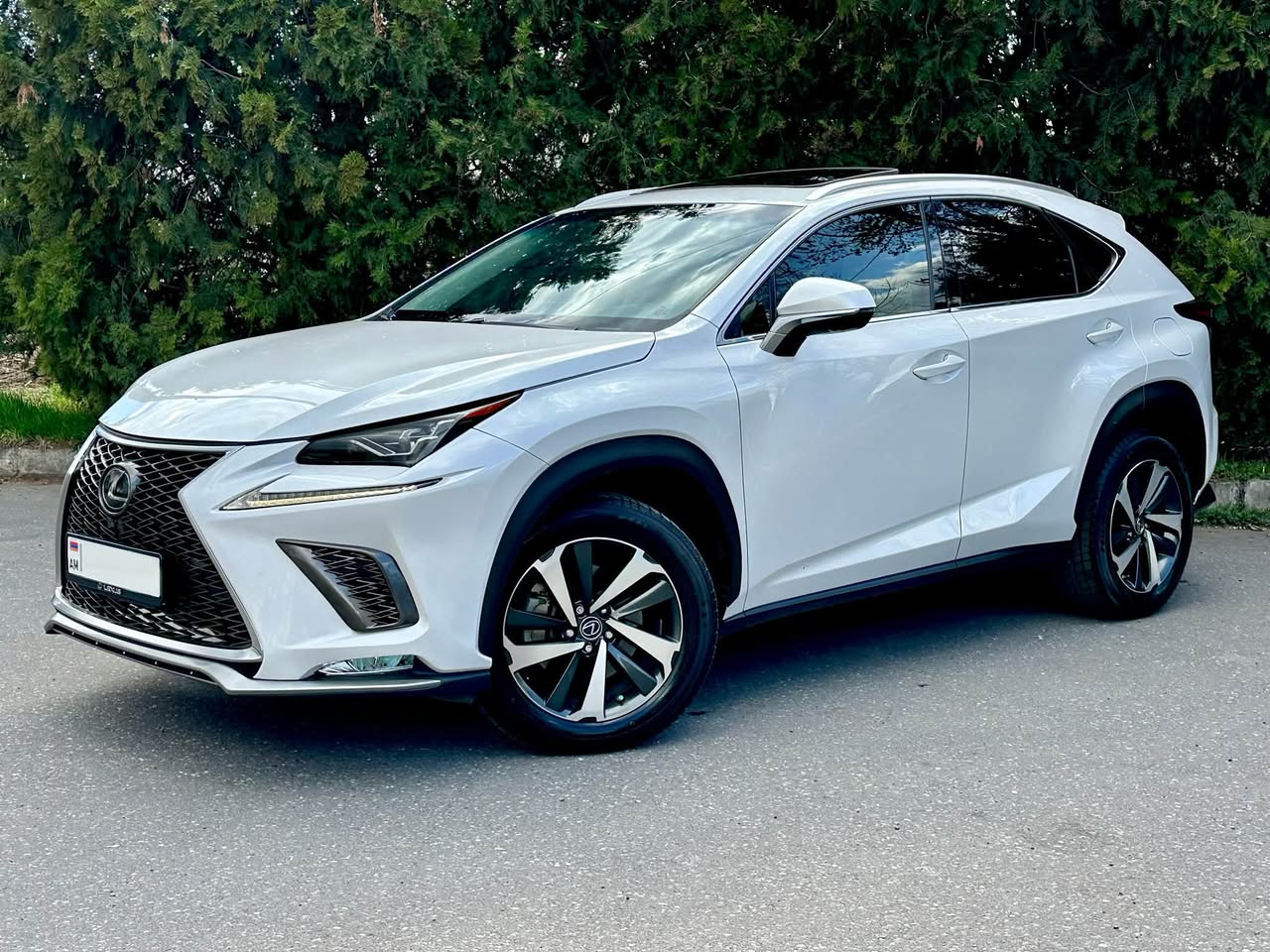 Lexus NX300 2020