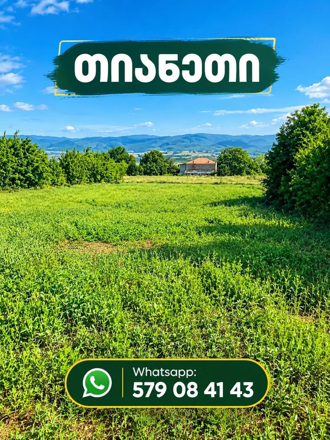 Land plot, Tianeti — $12,500