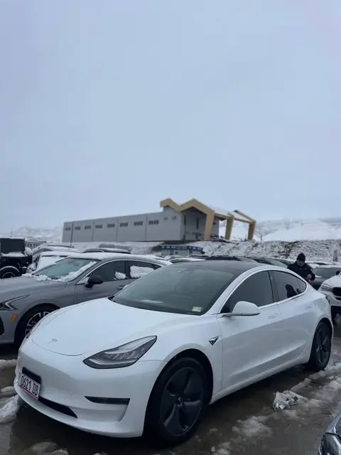 Tesla 2020