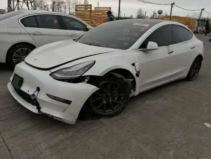Tesla 2019