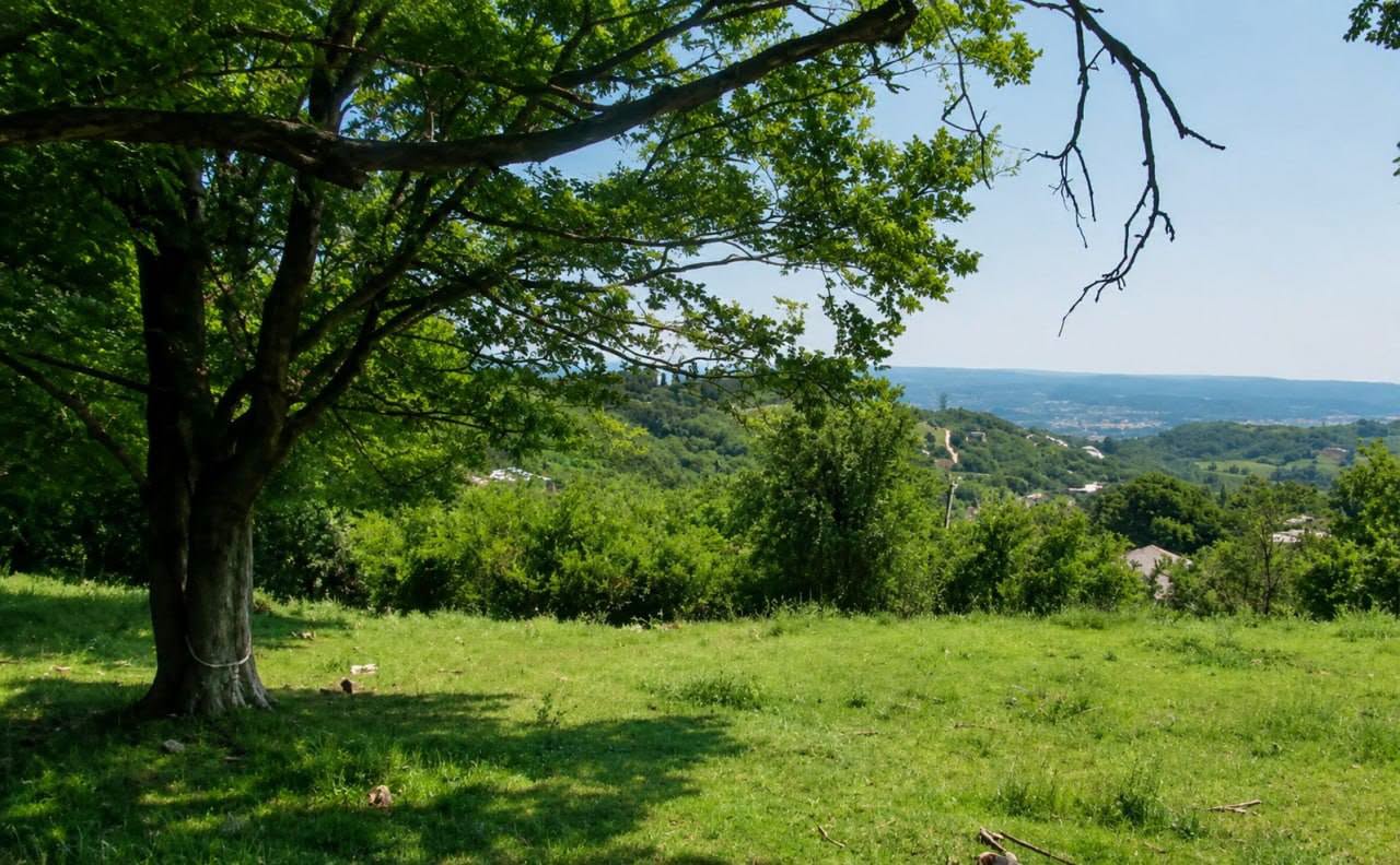 🏞 Продаётся несельхоз-участок в Грузии —
