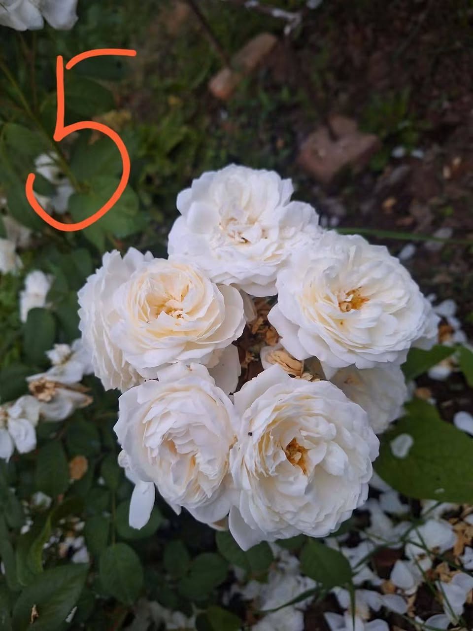 იყიდება ბინა, თბილისი