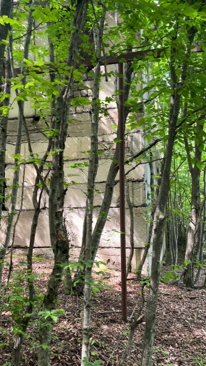 🌲🪵 у леса ☑️ поворот на Ваке-Сабуртало от 2️⃣5️⃣ — 62,000$
