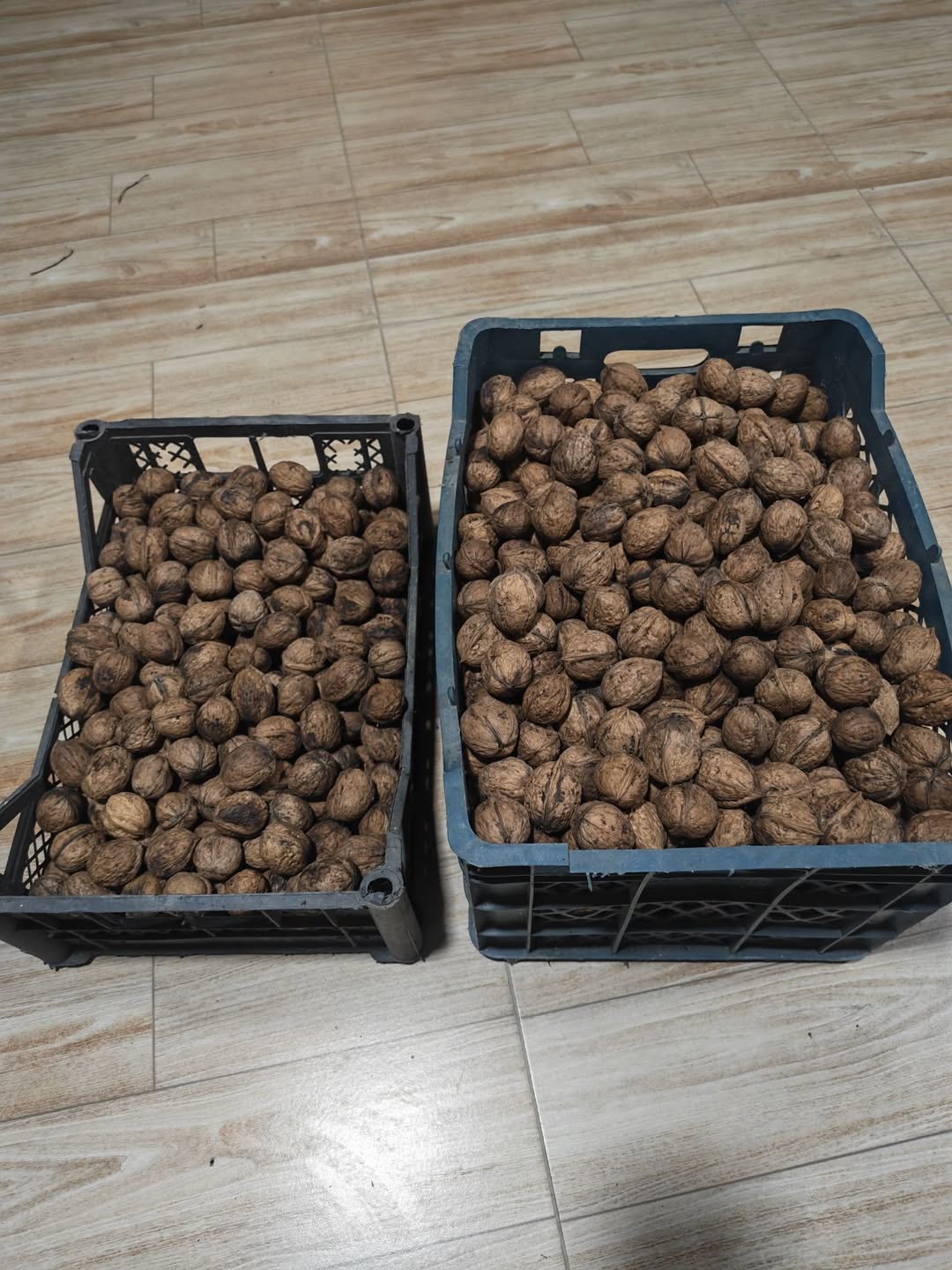 Walnuts 14 kg, from last year's harvest