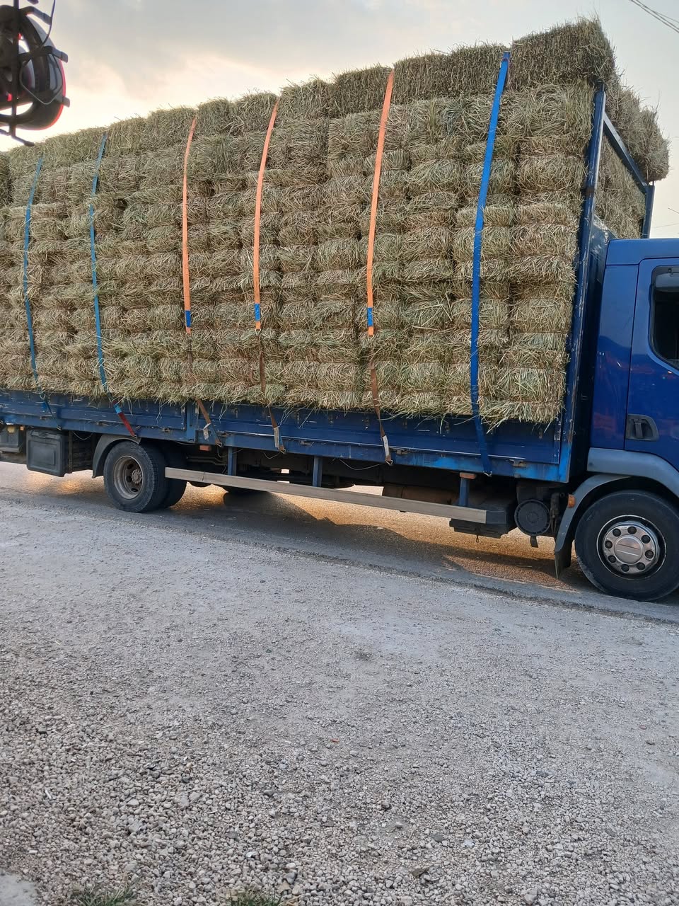 Yaxşı ot pressləri sizə yerində gətirəcək
