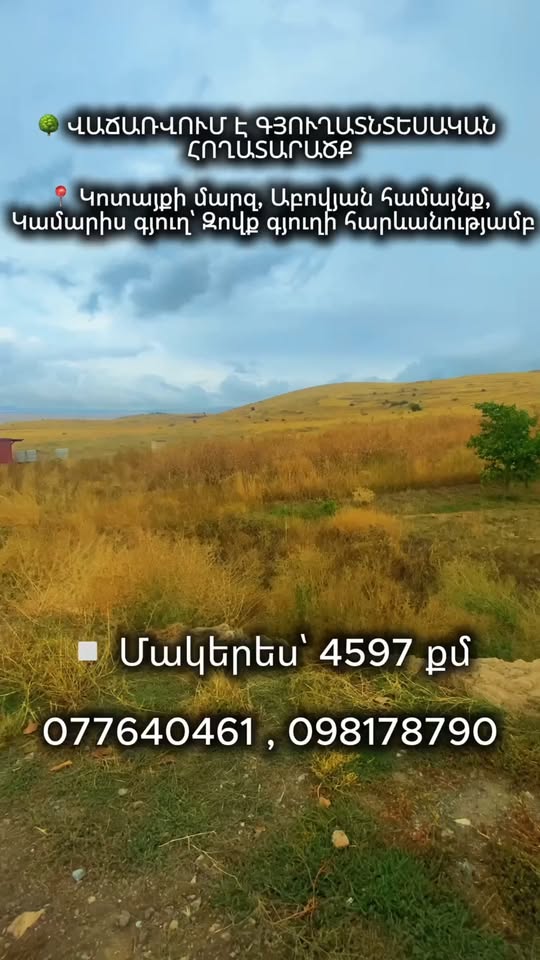 🌳 TARIM ARAZİSİ SATIŞTA 📍 — 20,000,000֏