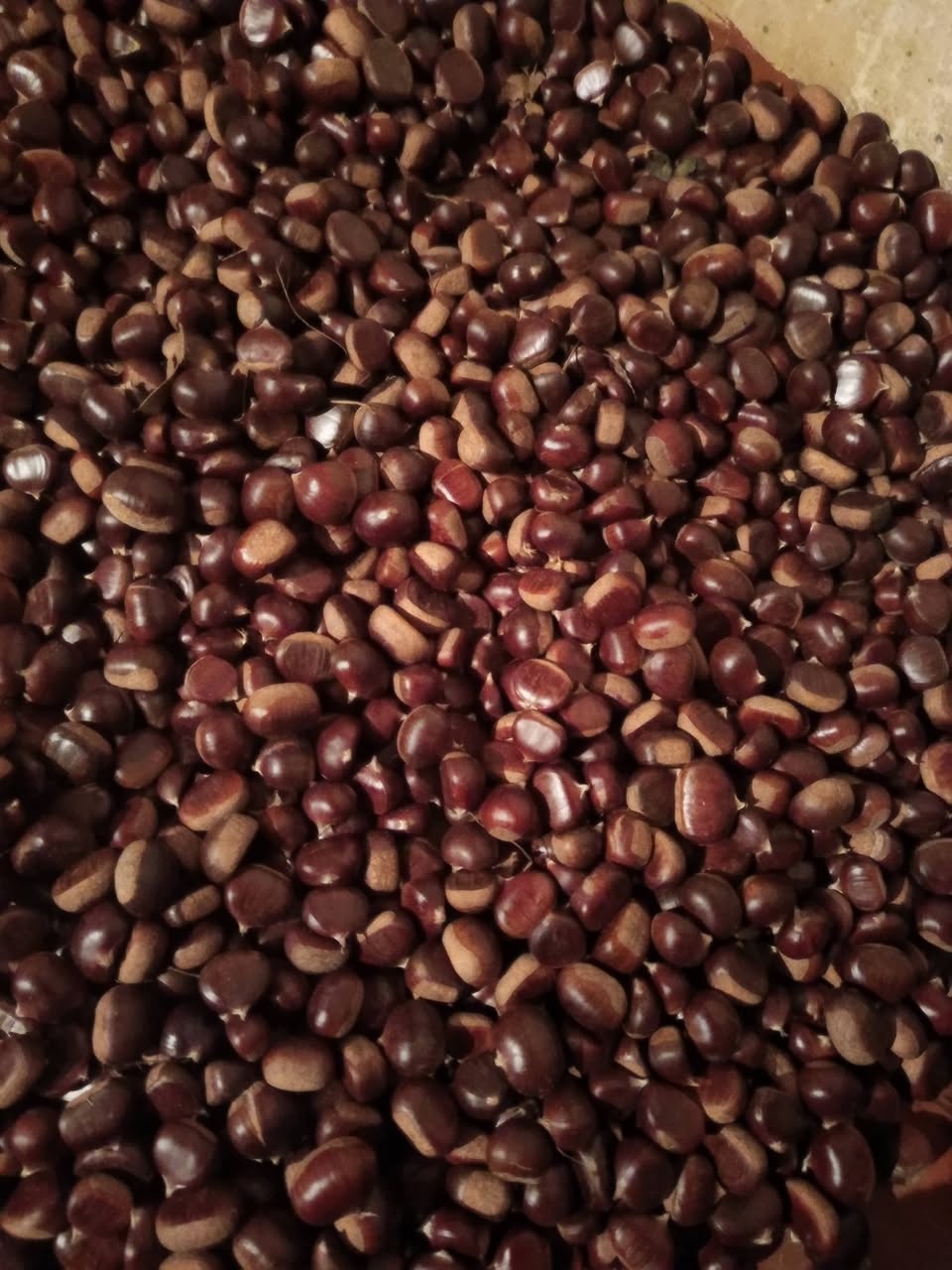 Mənə 30 kq alça məhsulu var — 10₾