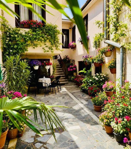 #109515 Сдается в аренду | Уникальная квартира — 700$