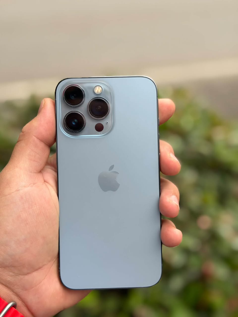 Kredo, TBS ve Gürcistan'da 13 Pro-128 — 800₾ için kredi veriliyor