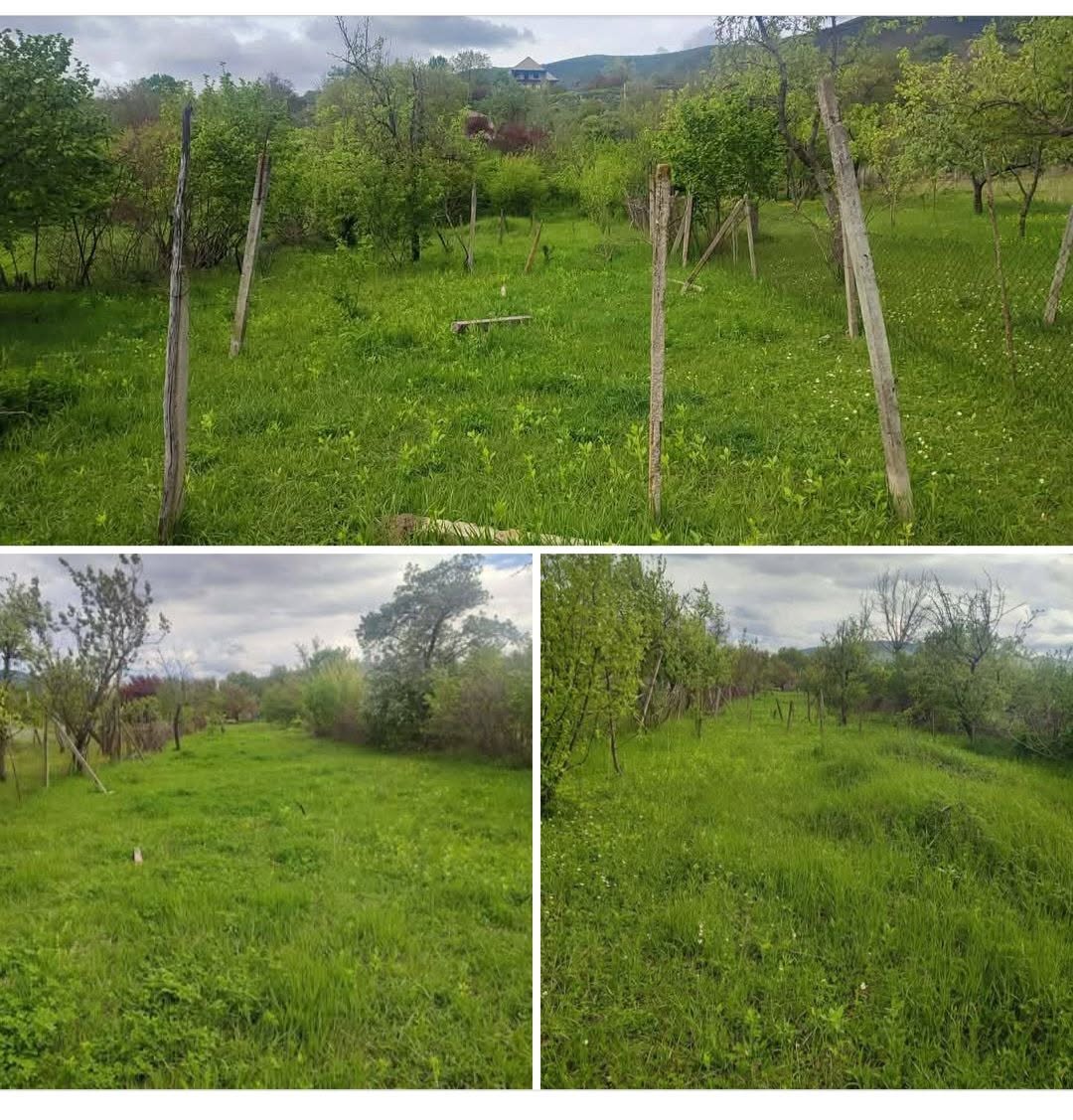 იყიდება მიწის ნაკვეთი მცხეთის რაიონში სოფელ