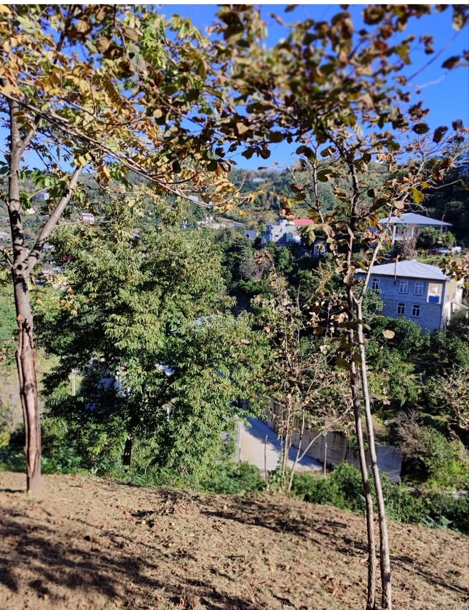 Torpaq sahəsi, Kobuleti — $60