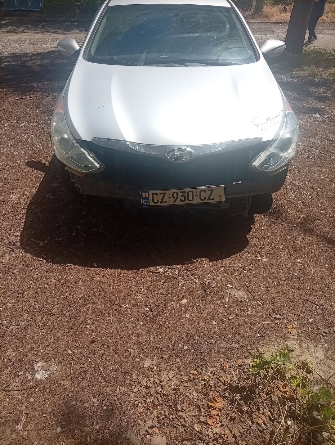 ჰიბრიდი 592