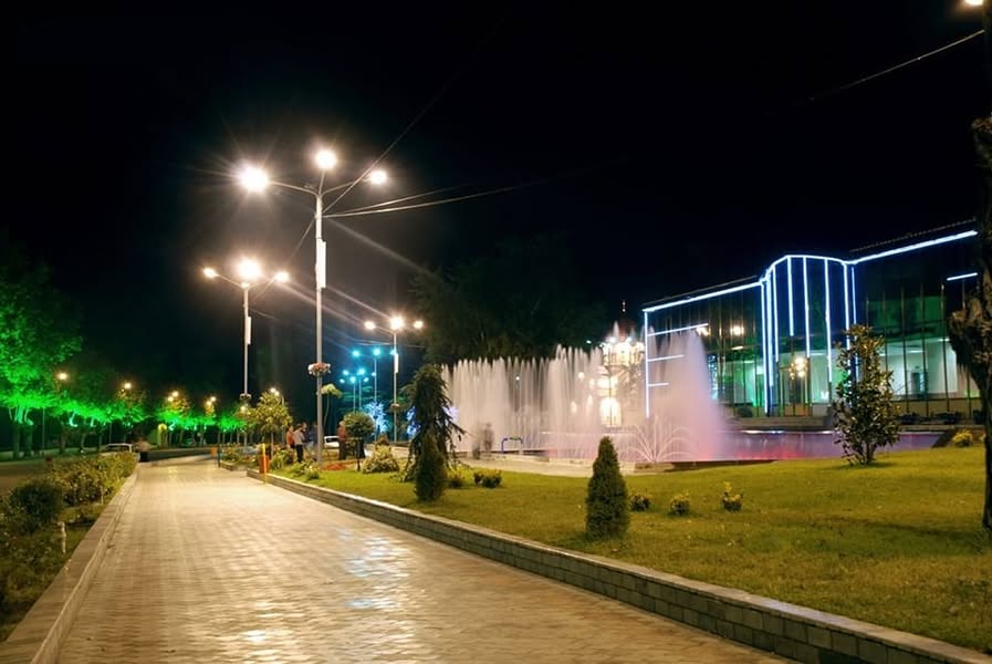Dış işlerde çalışıyorum, Terjola'da yaşıyorum, bahçe - 80₾