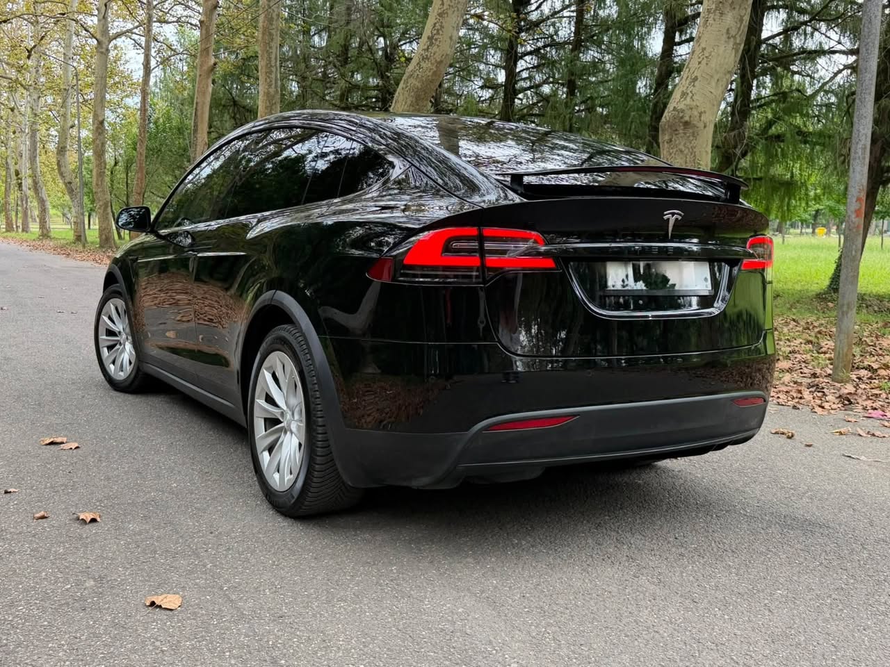 Tesla Model X 2019