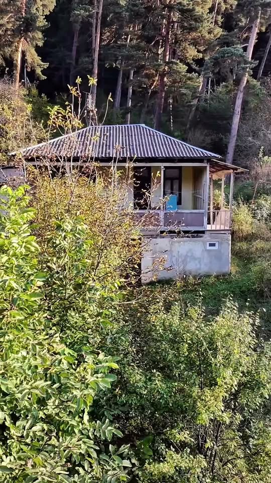 🏘️🍀 🌲 Ormanda ev Borjomi'de