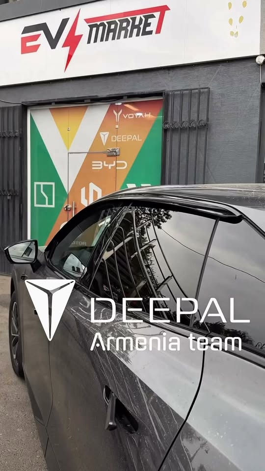 Վետրավիկներ 🚨 Առկա է 🚨տեղադրումը անվճար