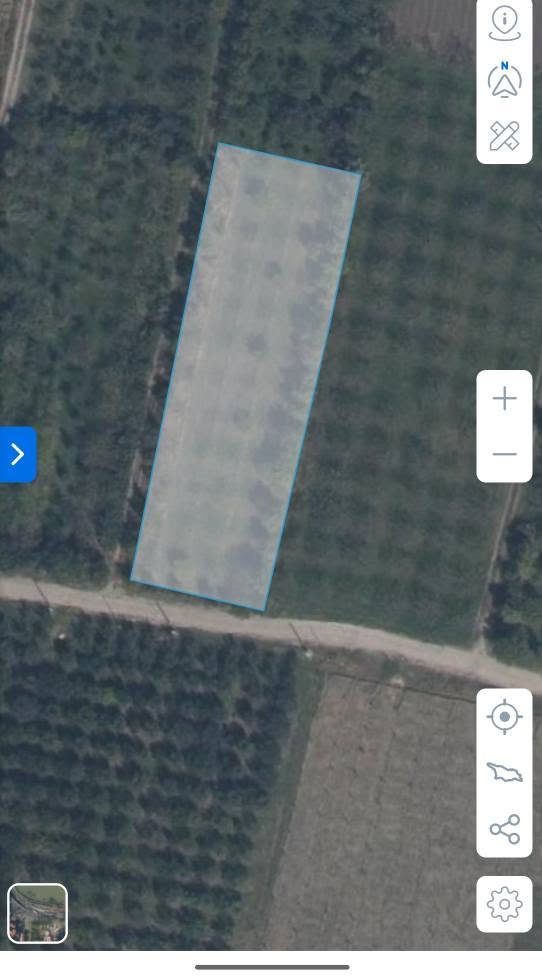 Torpaq hissəsi, Qori — $9