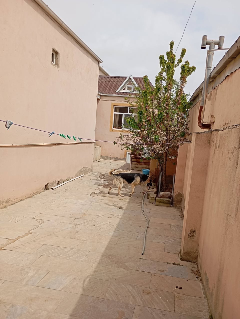 Bahçe evi, Bakü — 95,000 ₼