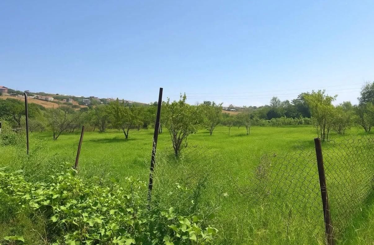 Toprak Parçası, Erivan