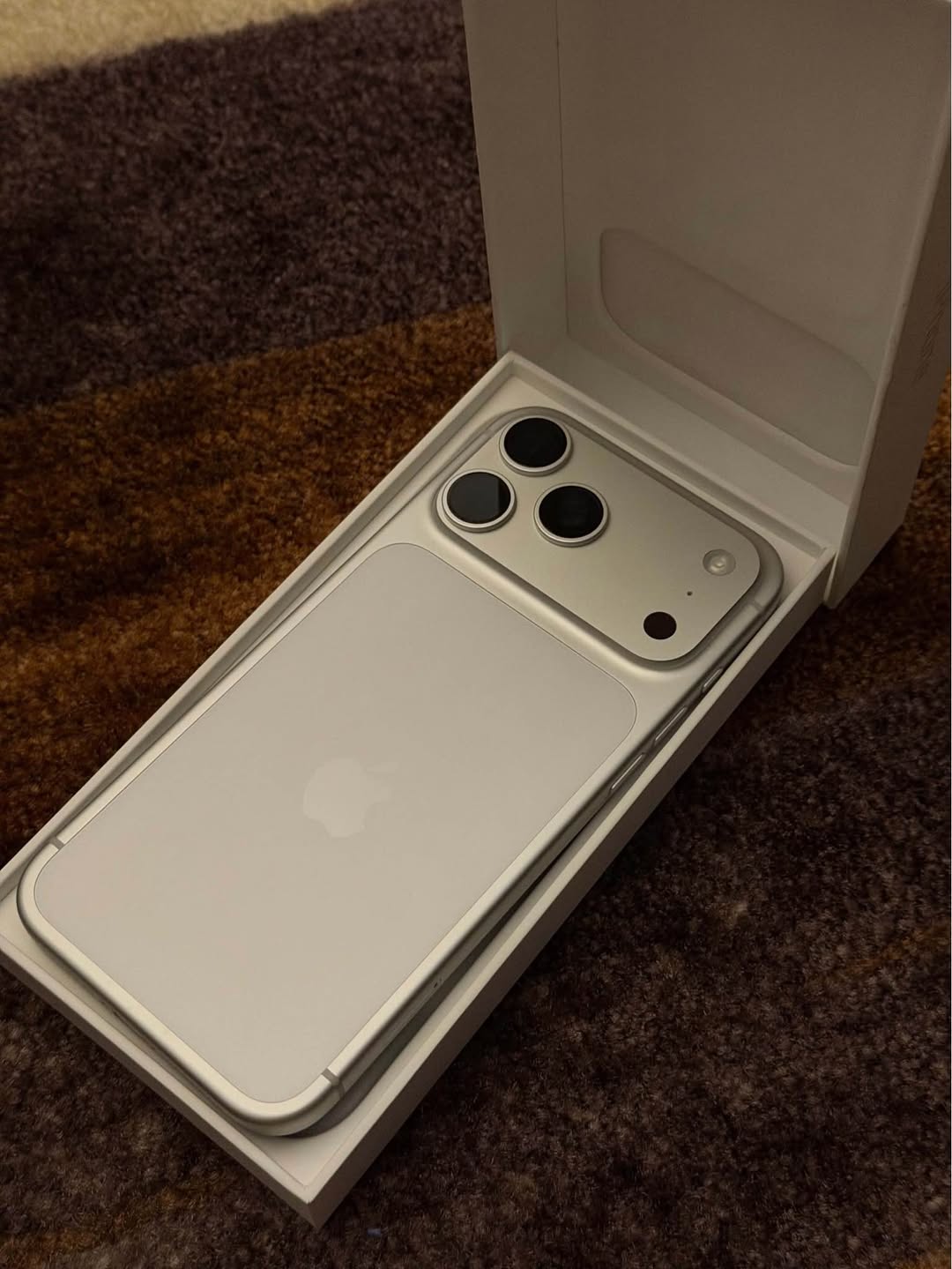 iPhone 17 Pro Max 256GB Silver