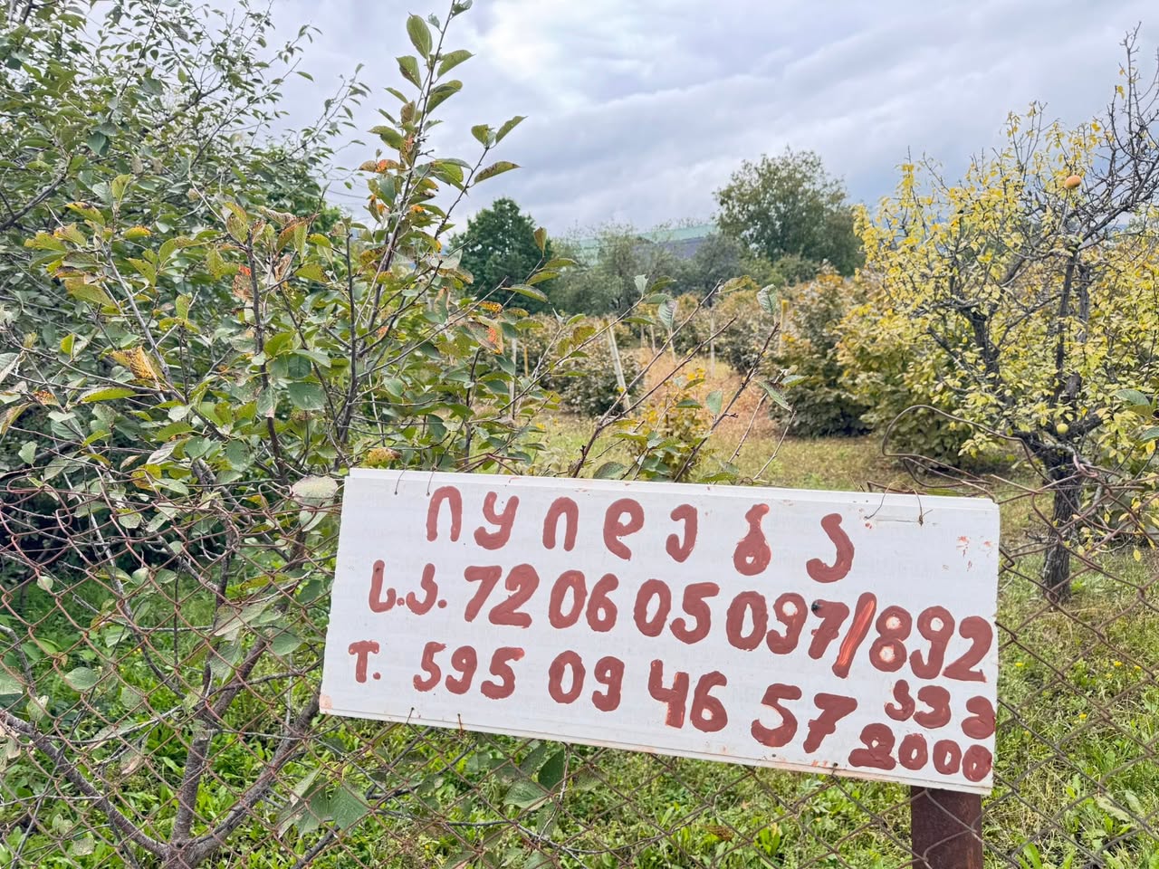Torpaq sahəsi Saguramoda, sahibindən