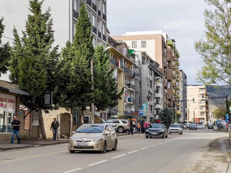 📚 ვამზადებ დაწყებითი კლასების მოსწავლეებს! ✏️🎒