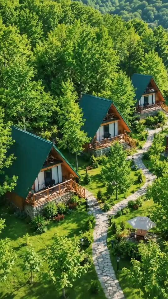 3 კოტეჯი ცხვარიჭამიაში