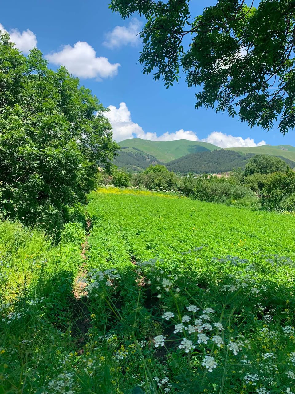 Հողատարածք, Վանաձոր — $29,990