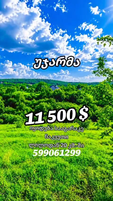 🌿 Ujarma'da arsa satılık ! — 11,500$
