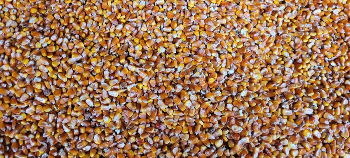 Iyodeba simindi aris witeli pasi 70 — 0.7₾