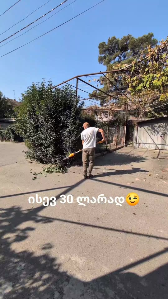 ბუჩქების მოჭრა და გასუფთავება