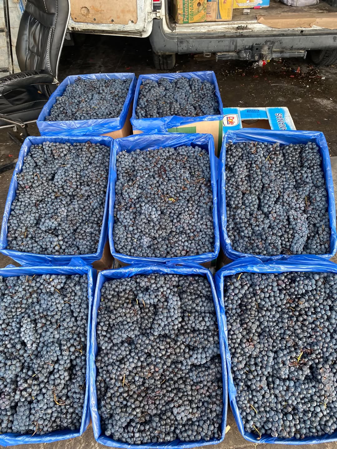 Merhaba, satışta. Kahuri ekmeği şeker oranı 22+ - 1.2₾