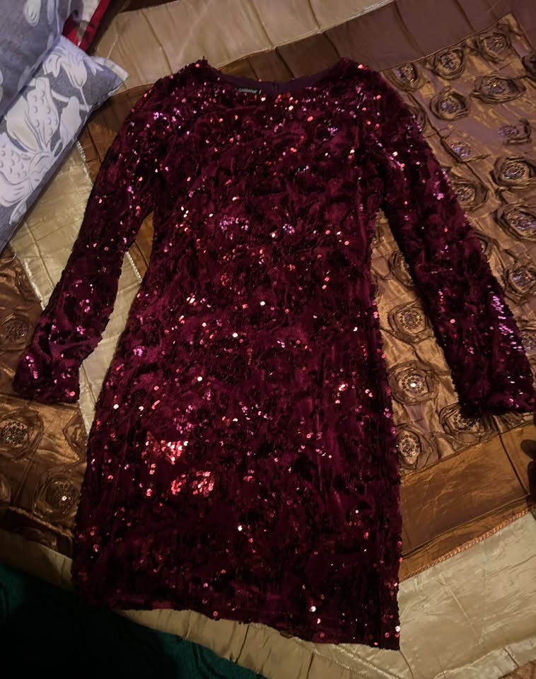 Bordeaux velvet dress
