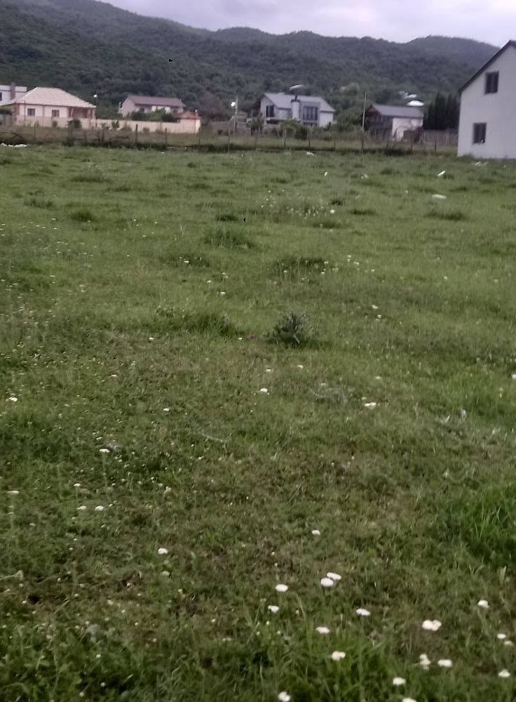 Satılır yay iqamətgahı torpaq sahəsi Duşeti rayonunda