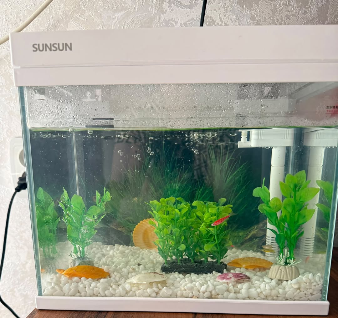 SUNSUN akvarium 15 լիտր