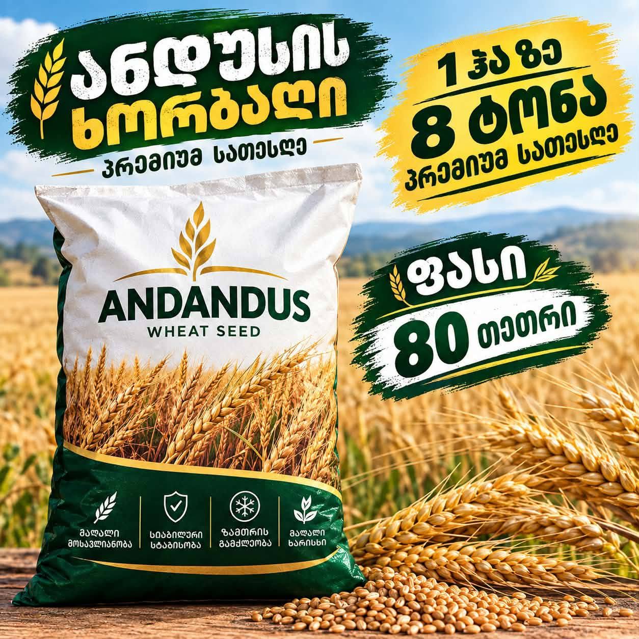 ‼️‼️‼️‼️ სათესლე ხორბალი "ამანდუსი" საბითუმოდ 80 — 0.8₾
