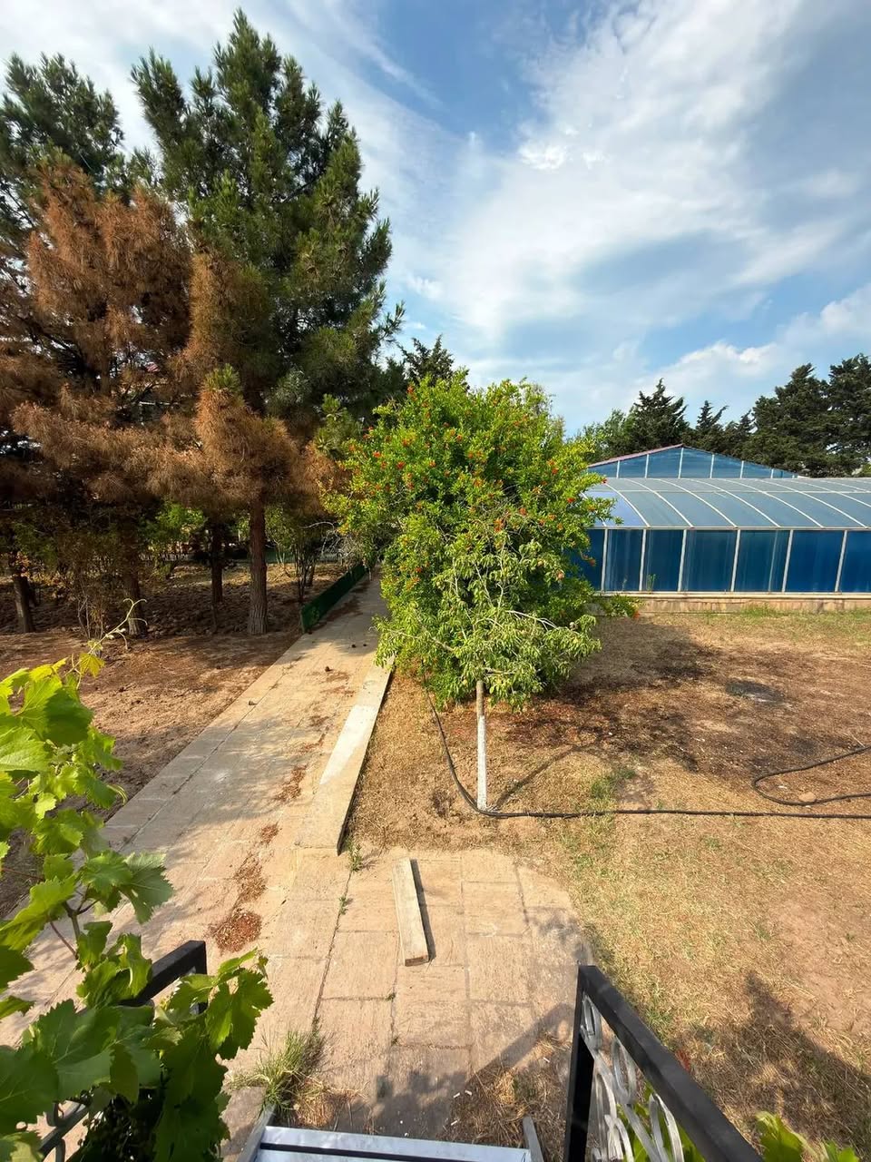 Ev / Villa — 175,000₼